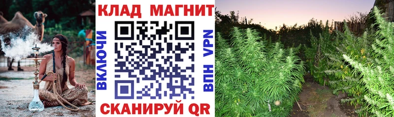 Где найти наркотики Мценск Альфа ПВП  Мефедрон  Кокаин  ГАШ  OMG tor  Конопля 