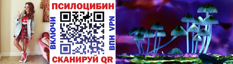 кракен зеркало  хочу   Мценск  Галлюциногенные грибы мицелий 